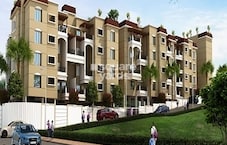 Swaraa 133 Orange Tree Featured Image