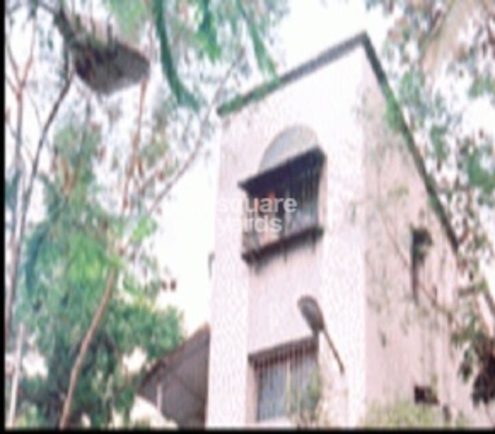 Swojas Gulmohar Cover Image