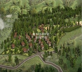 Synergy Farms Casuarina Featured Image