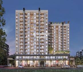Tatva 24Life Exotica