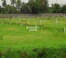 Umbrella Sapphire Featured Image