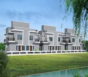 Unity Pride Lotus Featured Image