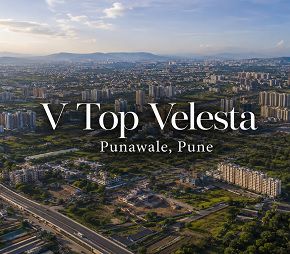 V Top Velesta Featured Image
