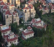 Vascon Paradise Featured Image