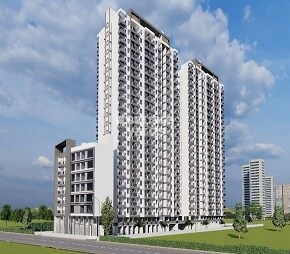 Vellkin Basil Flora Video