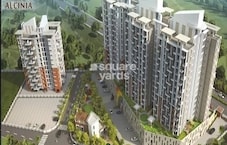 Vertical Alcinia Featured Image