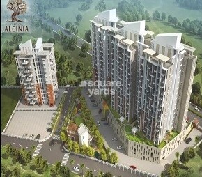Vertical Alcinia