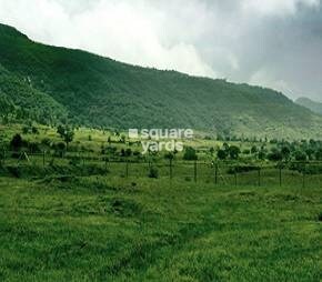 Vinod Vista Green