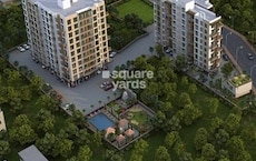 Vivansaa Cellandine Phase II Featured Image