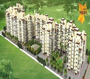 Windsor Maple Woodz, Wagholi, Pune