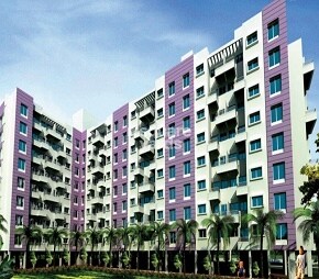Winsome Orrchid city