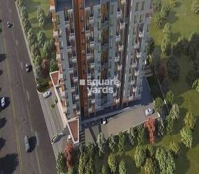 Yashada Splendid Radiance Featured Image