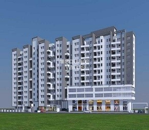 Zinnia Elegans, Wakad, Pune