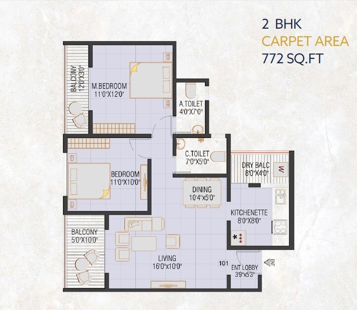 2 BHK 772 Sq. Ft. Apartment