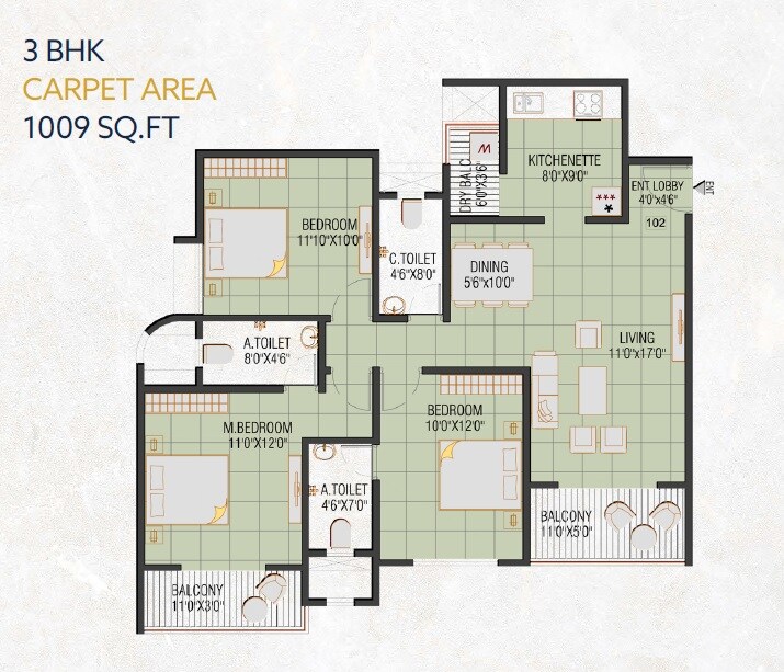 3 BHK 1009 Sq. Ft. Apartment
