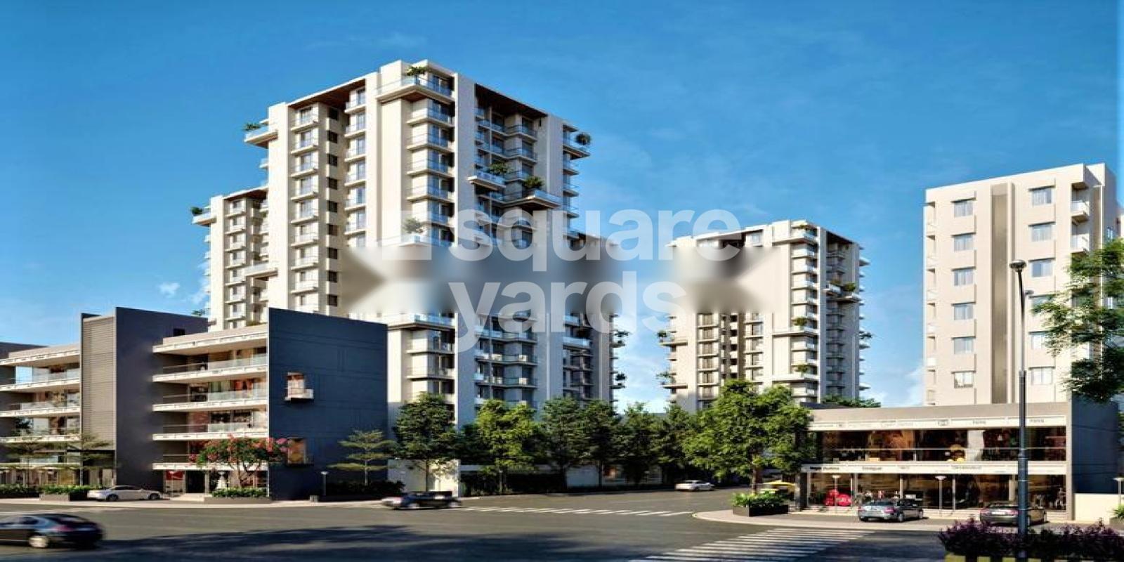 Kailash Savan Surface Serena