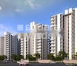 Suncity Plus