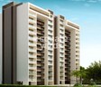 The Garden City E Orchid