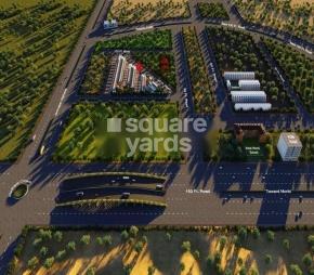 Ami Exotica Featured Image