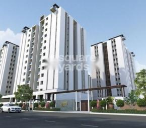 Meet Kasturi Aviary, Kalavad Road, Rajkot