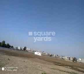 Samju Park Featured Image