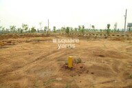 Rohit The Botanical Plot Images