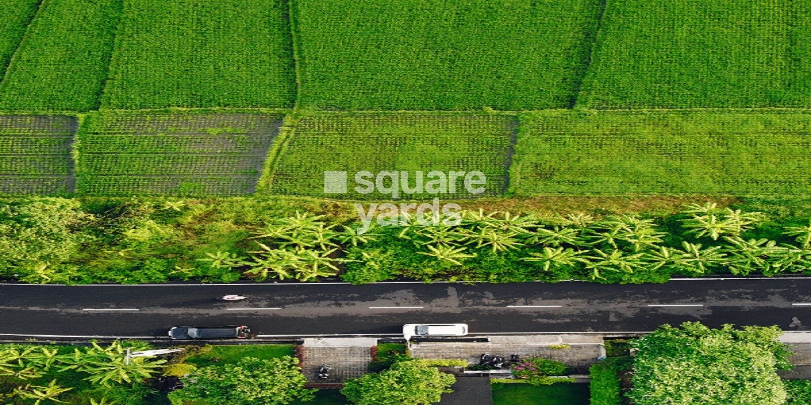 Sreenidhi Sundarban, Nandikandi, Sadashivpet