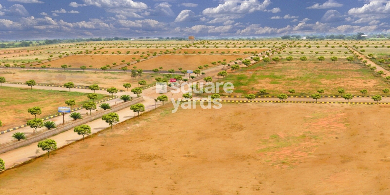 Ssl Infra Peacock Avenue Featured Image