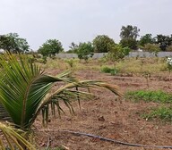 VNest Vaibhav County Plot Images