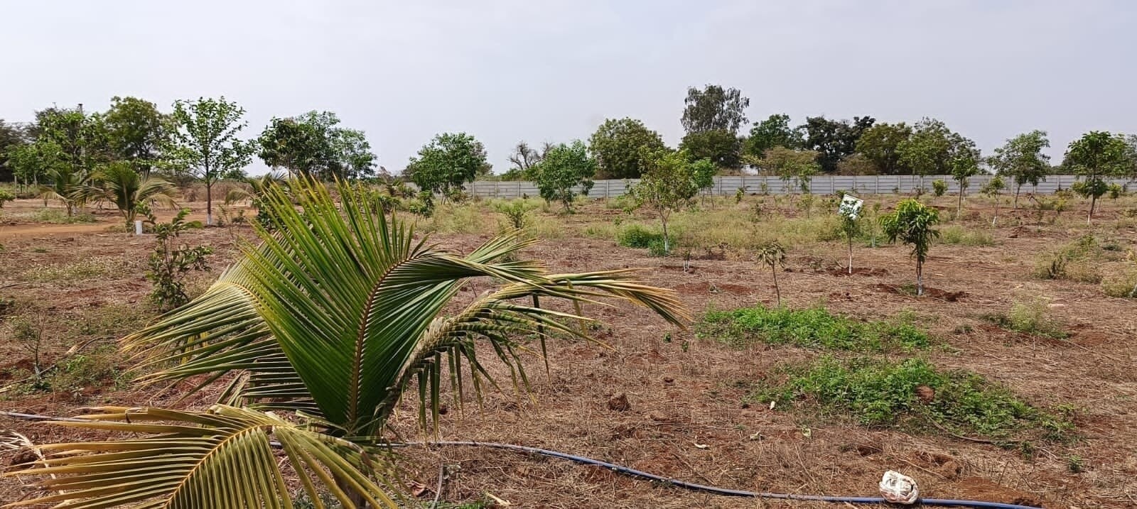 VNest Vaibhav County