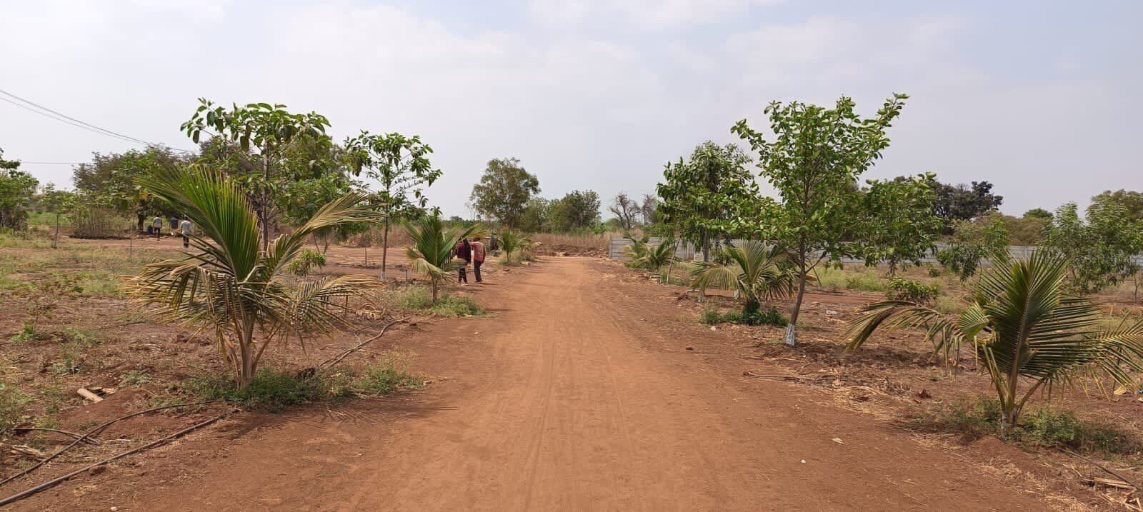 VNest Vaibhav County Plot Images 2