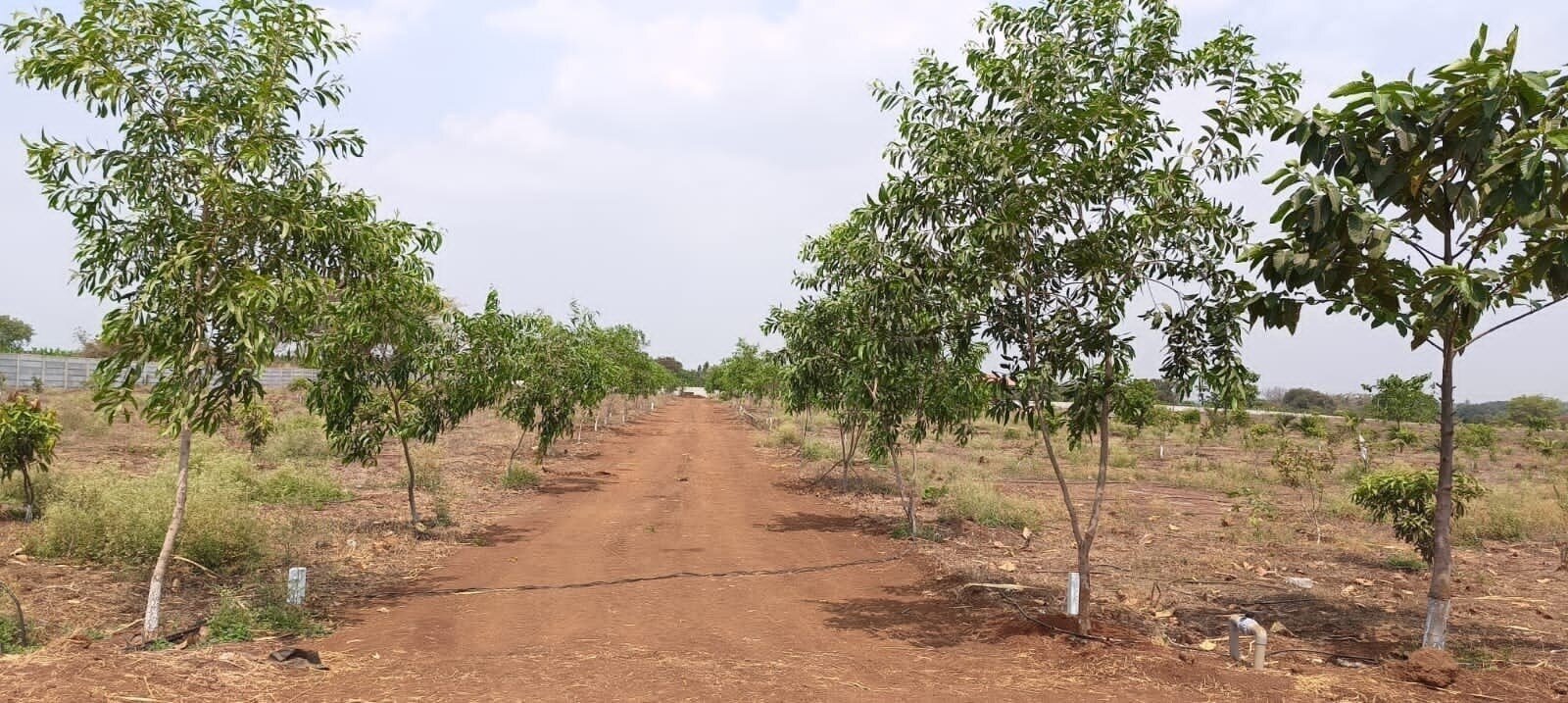 VNest Vaibhav County