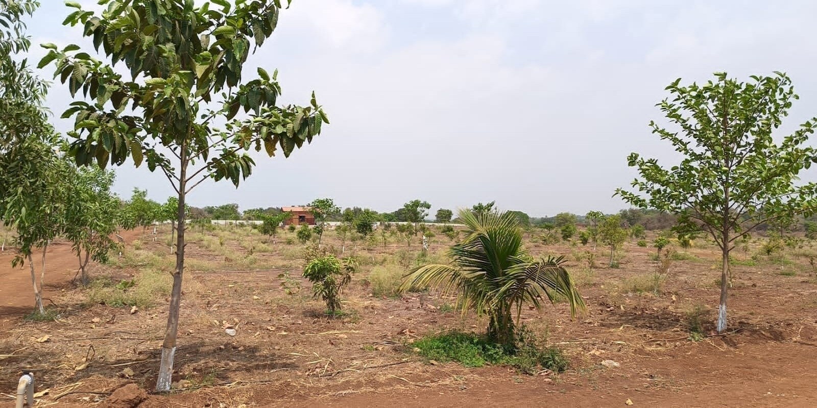 VNest Vaibhav County residential project in Suraram