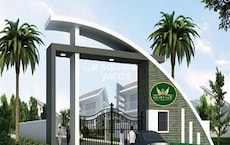 Golden Dream County Featured Image
