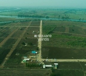 Rivers Edge Natures Greens