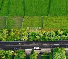 Sreenidhi Sundarban Featured Image