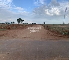 True Fortune Commercial Featured Image