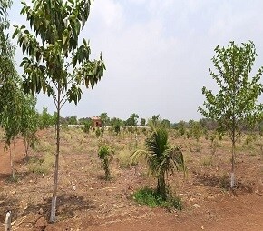 VNest Vaibhav County
