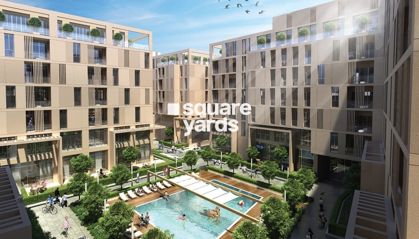 Representative image as actual visual unavailable for Alef Al Mamsha