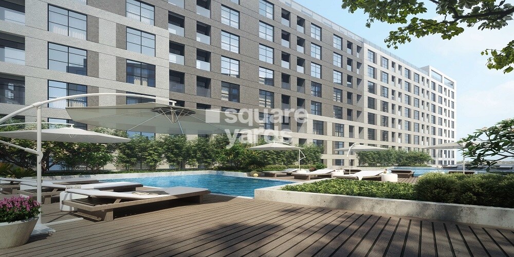 Representative image as actual visual unavailable for Alef Al Mamsha