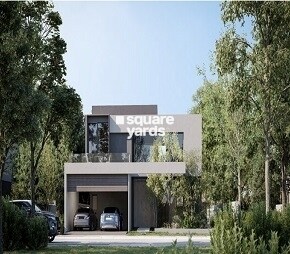 Representative image as actual visual unavailable for Arada Masaar Sendian