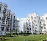 Parker White Lily Tower View