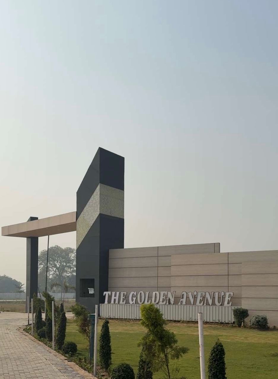 The Golden Avenue Plot Images