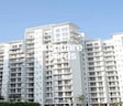 White Lily Residency