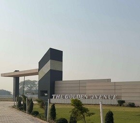 The Golden Avenue in Sector 33, Sonipat