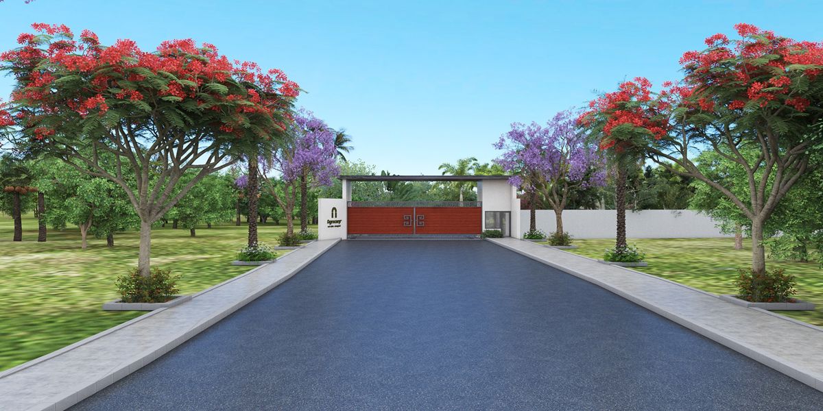 Central Vista Farms Entrance View