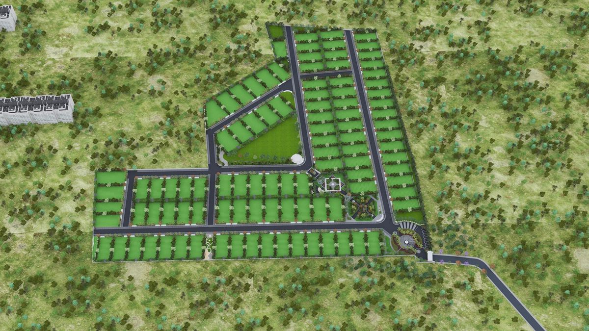 Central Vista Farms
