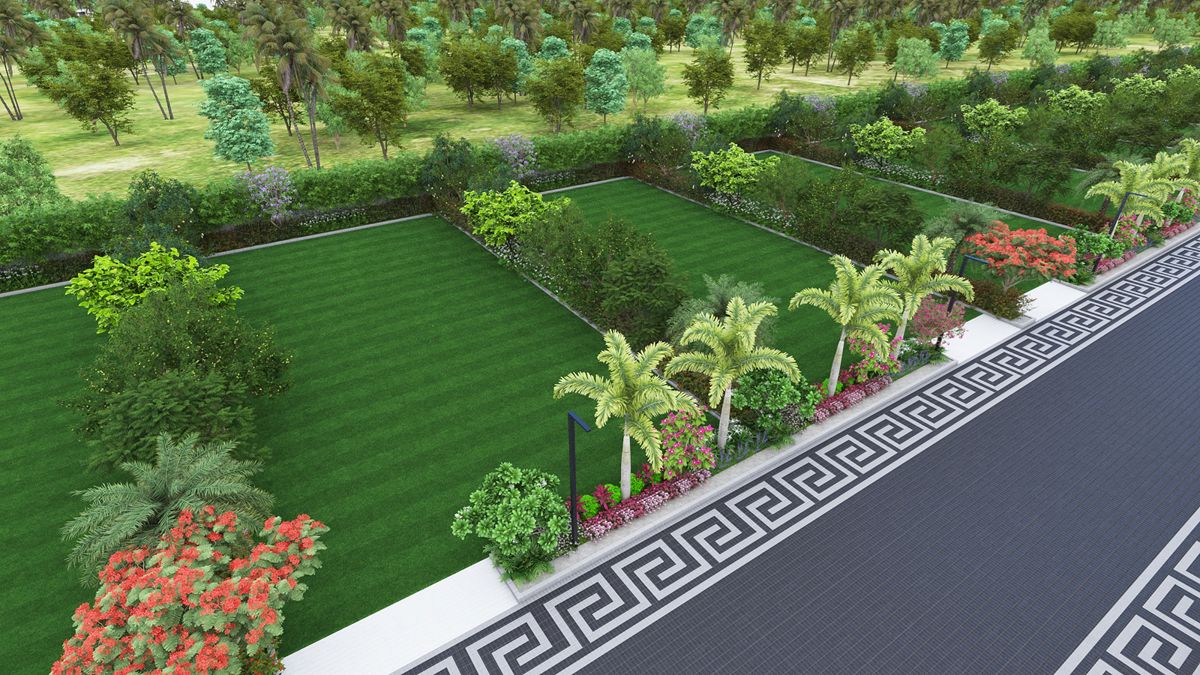 Central Vista Farms