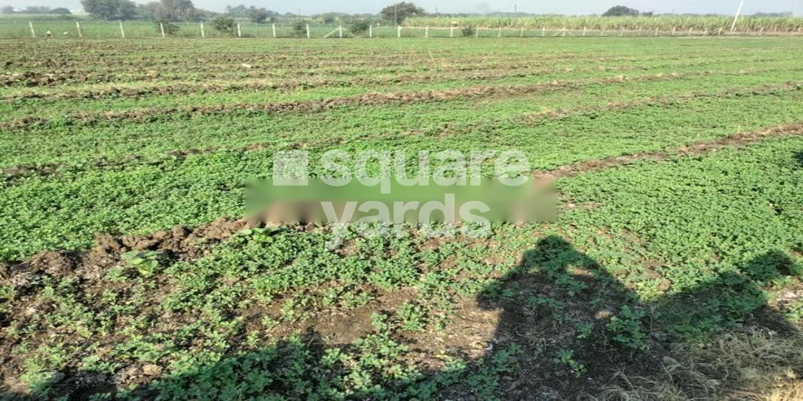 Eleganza Homes Featured Image