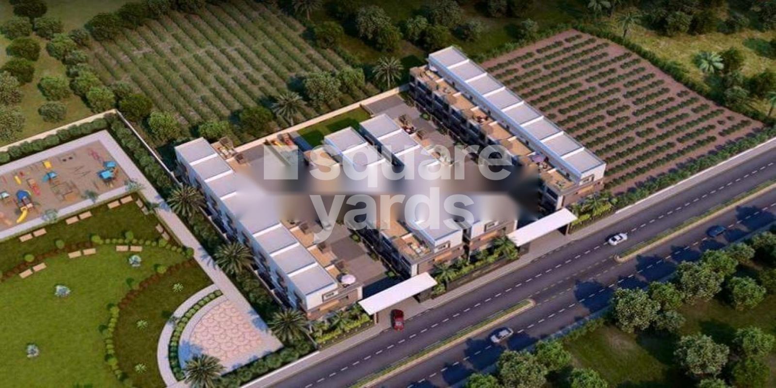 Green Willows Featured Image